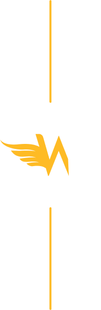 Master_whiz-logo